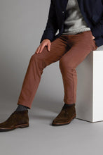 Load image into Gallery viewer, An Everyday Classic Brushed Tobacco Stretch Men Chinos - Mark Morphy